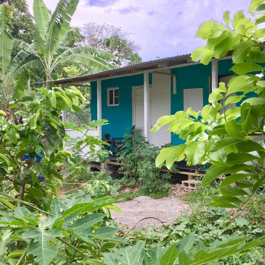 Easymans' Winifred Beach Chalets Port Antonio Zewnętrze zdjęcie