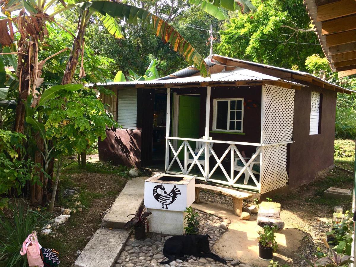 Easymans' Winifred Beach Chalets Port Antonio Zewnętrze zdjęcie